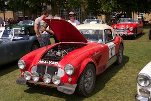 Austin Healey Rally Car