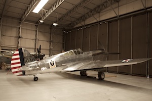 Curtis P-40D Warhawk
