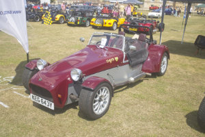 Giles Cooper's Tiger Cat