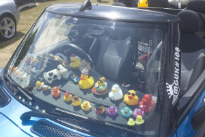 Crash Test Duckies?