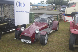 Giles Cooper's Tiger Cat