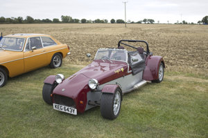 Giles Cooper's Tiger Cat