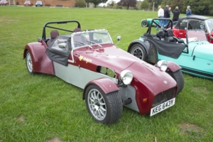 Giles Cooper's Tiger Cat