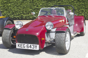 Giles Cooper's Tiger Cat