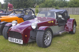 Giles Cooper's Tiger Cat