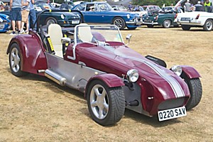 Steve Tuck's Tiger Cat