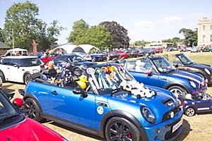 Mini with a few accessories